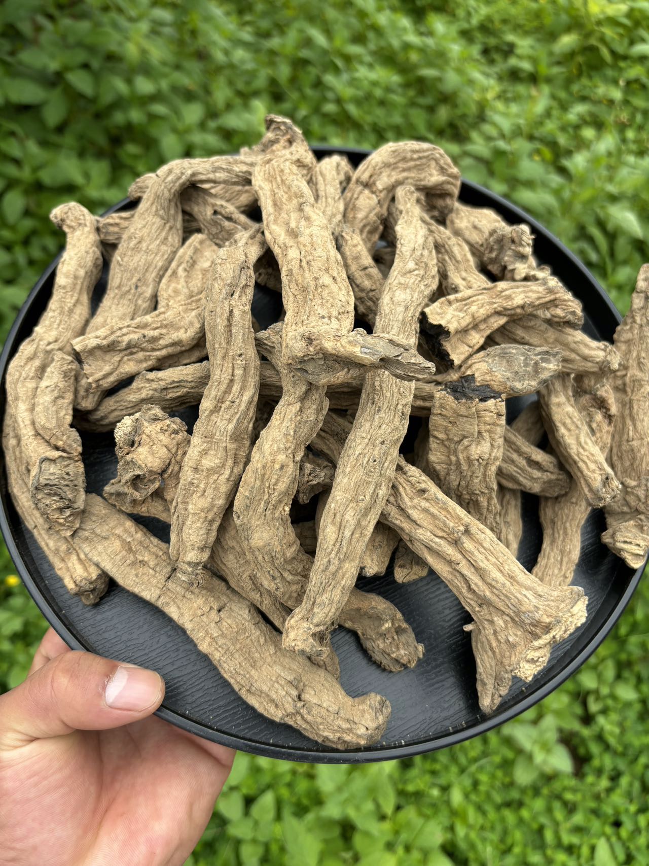 【阿金推荐】现收土特产 黑-金-参250克-500克-1000克食用农产品