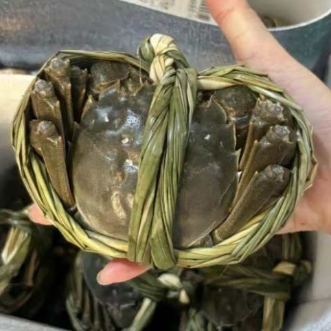 【公母搭配10只装】3两公蟹5只+3两母蟹5只（现场挑选 鲜活大闸蟹）