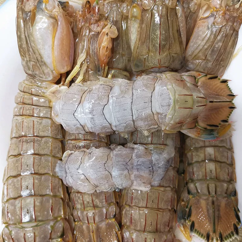 东港本地特产活冻虾爬子皮皮虾冷冻生腌新鲜美味开袋即食