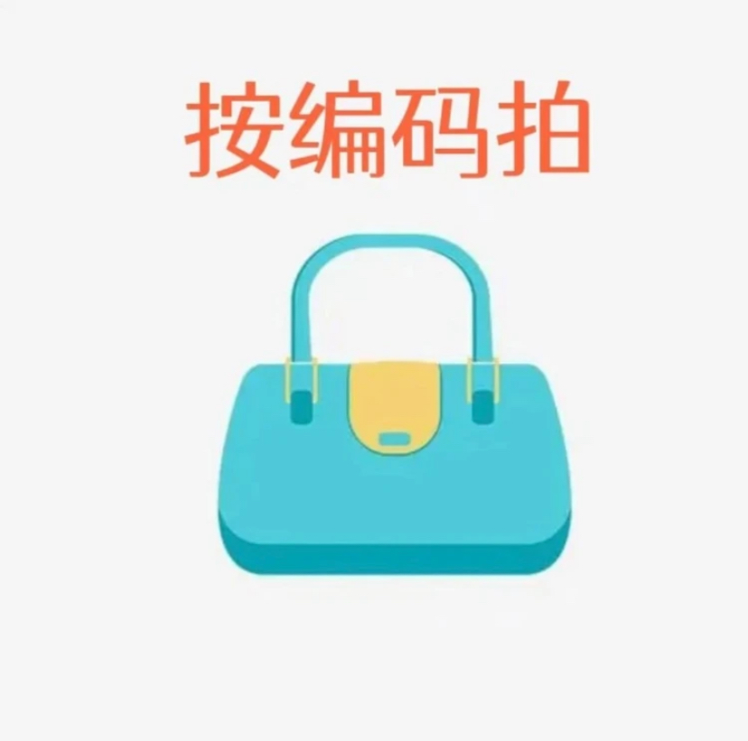 D61-D99  按编码下单女包 