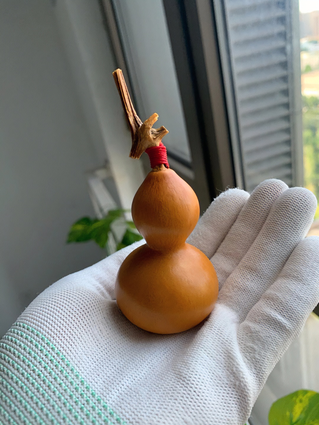 直播间选葫芦链接（选葫芦下单）