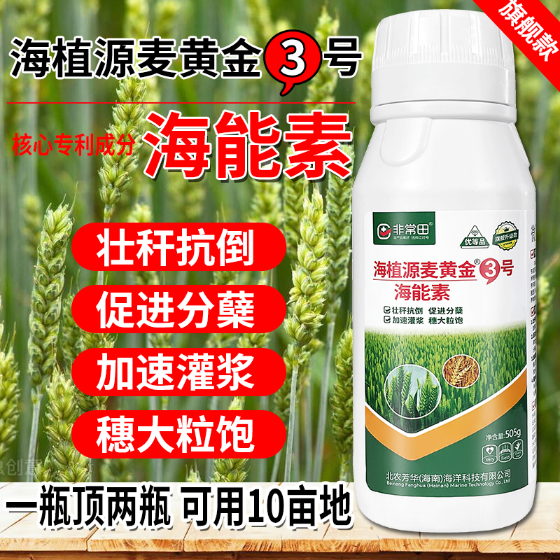 新型麦黄金3号小麦增产叶面肥料一遍顶两遍高活技抗逆性高产粗壮