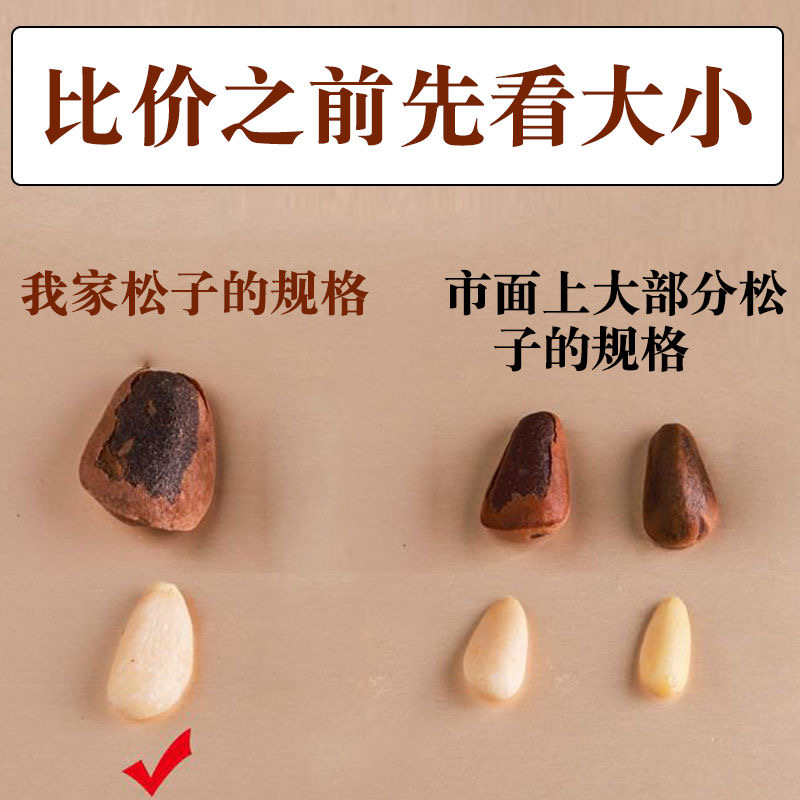 东北野生笨炒熟松子500克包邮