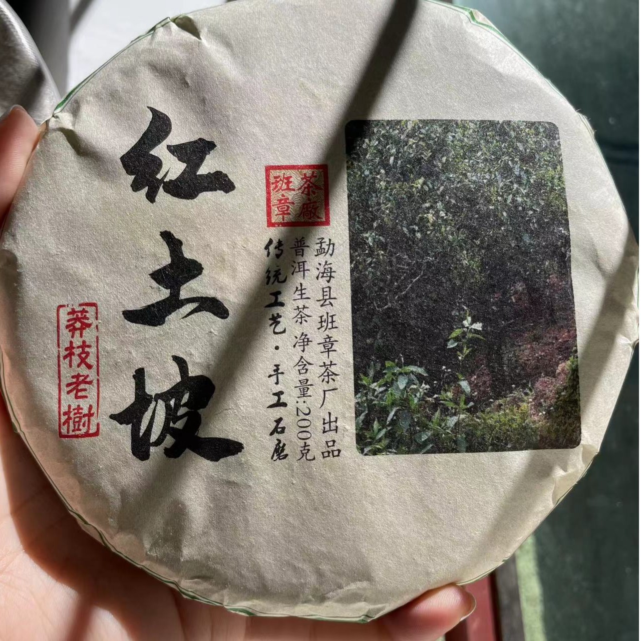 2023年头春   莽枝红土坡 老树纯料 200克生饼茶