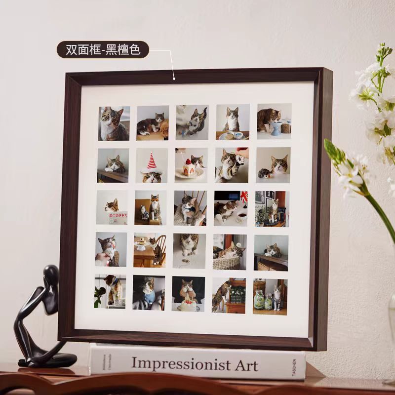 小鱼说猫专属宠物《相册》定金拍这个