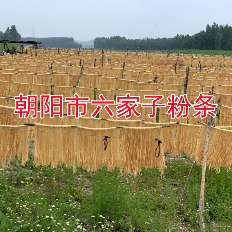 河沿子朝阳手工粉条宽细可选5斤东北辽宁特产