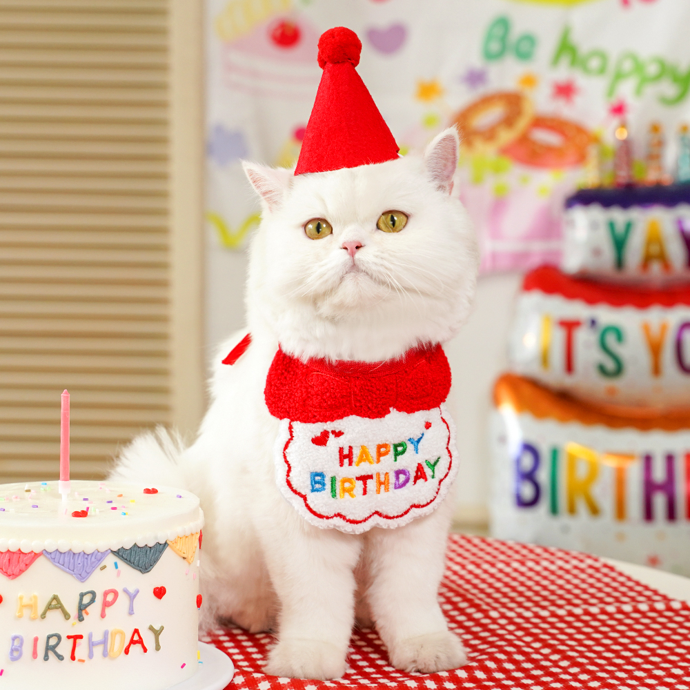 宠物生日口水巾围兜围巾狗狗猫咪圆帽子装饰品用品网红派对ins绣