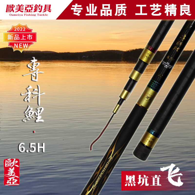 欧美亚专科鲤6.5H超硬19调台钓竿黑坑竿直飞抢鱼钓鱼竿
