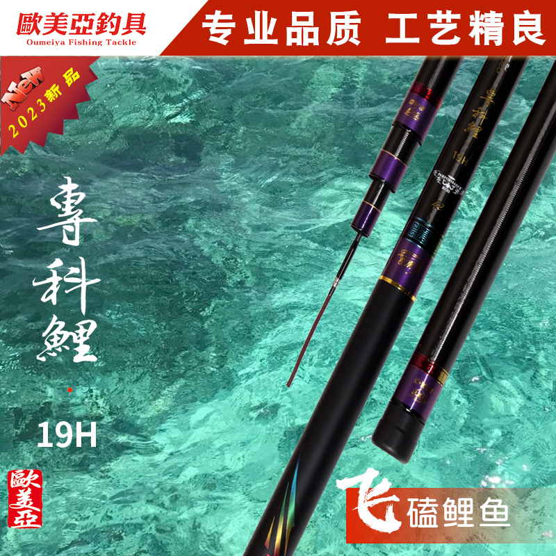 欧美亚专科鲤19H2023年黑坑抢鱼飞磕腰力强韧强劲战斗鲤鱼竿