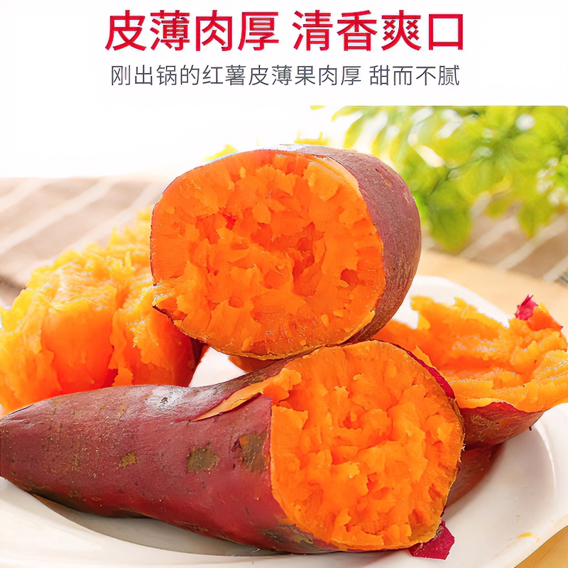 新鲜现挖优质西瓜红蜜薯 红薯净重5斤装包邮 烤红薯必备