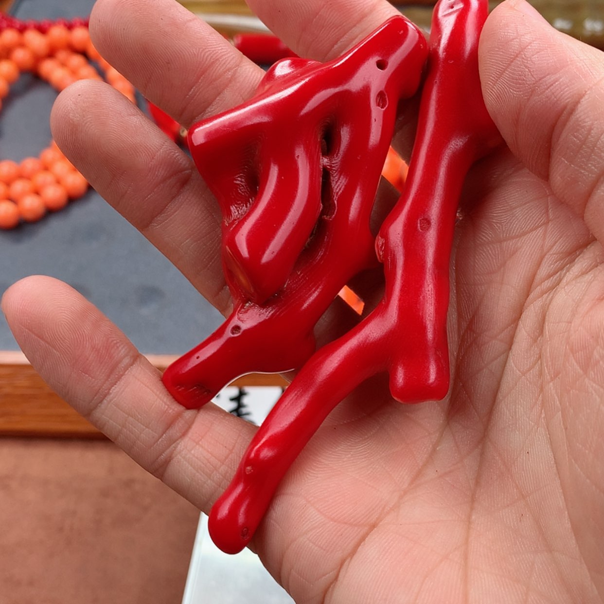【闪购商品】贝贝雕龍*枝