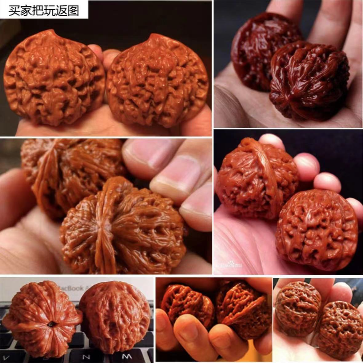 专拍链接文玩核桃狮子头把玩元宝蛤蟆头