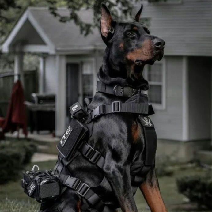 警犬套背战术狗狗胸背带中大型犬背心式牵绳德牧金毛杜宾衣服户外