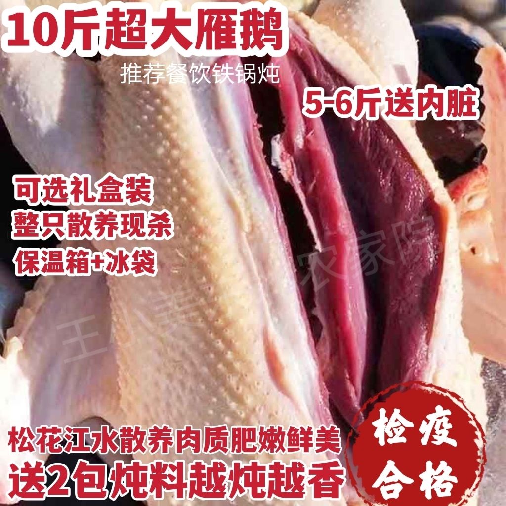 【整只大雁鹅】新鲜10斤大鹅现杀大雁整只鹅鹅肉农家散养坏单包赔