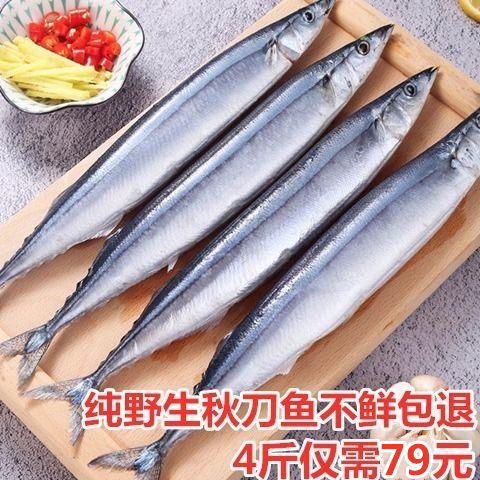 野生秋刀鱼 鲜 新鲜冷冻深海海鲜烧烤食材日式秋刀鱼鲜活水产海鱼