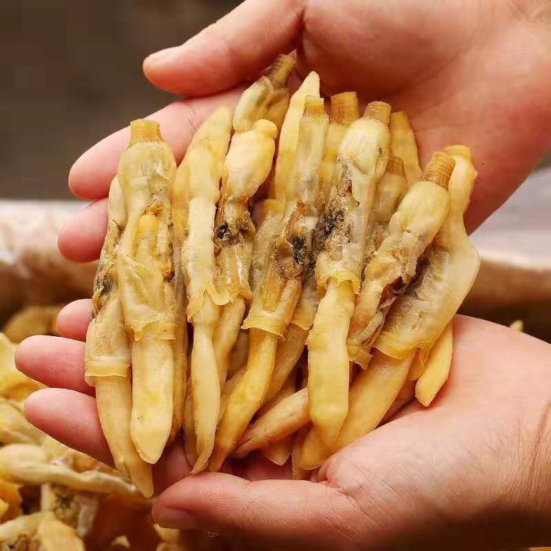 新货蛏子干海蛏干100克-500克淡晒海蛏子肉大蛏子肉干竹节干