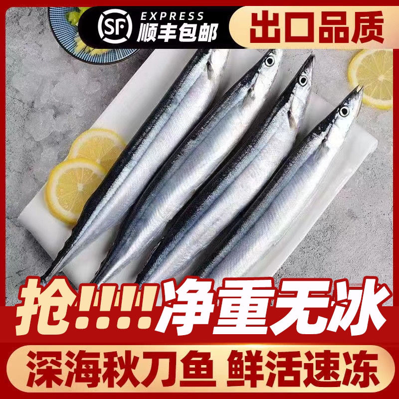 秋刀鱼新鲜鲜活冷冻大号海捕深海鱼日式秋刀鱼烧烤食材香煎秋刀鱼
