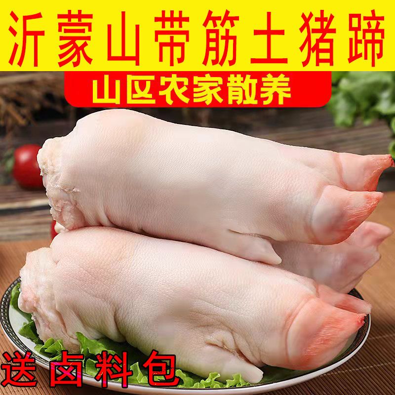 猪蹄子现杀带筋生新鲜整只猪脚小香猪猪爪前后蹄批发猪皮猪肉类