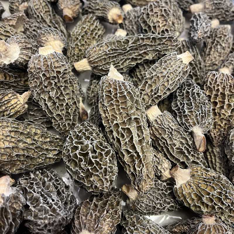 日常！鱼胶伴侣辅料【综合】干货各种辅料日常煲汤高品质1-500克