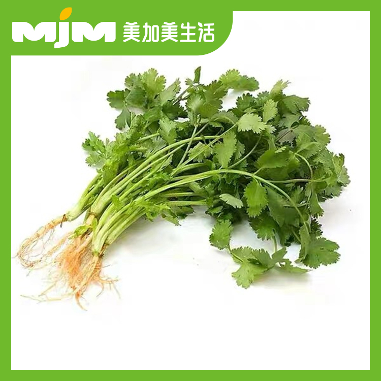 精选香菜（约50g/份）香菜