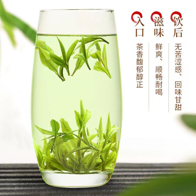 安吉白茶大白茶毫香经典杯茶2023年新茶明前头采高山白茶口粮茶叶