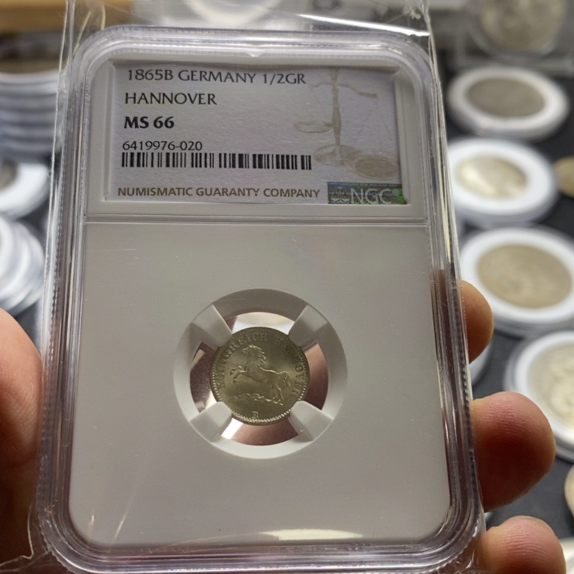 【闪购商品】银币涅****1