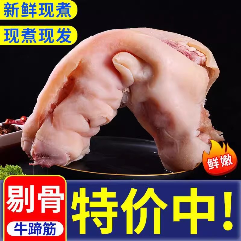 连云港 国产新鲜黄牛牛蹄  现煮熟牛蹄 去主骨牛筋 包邮发货 