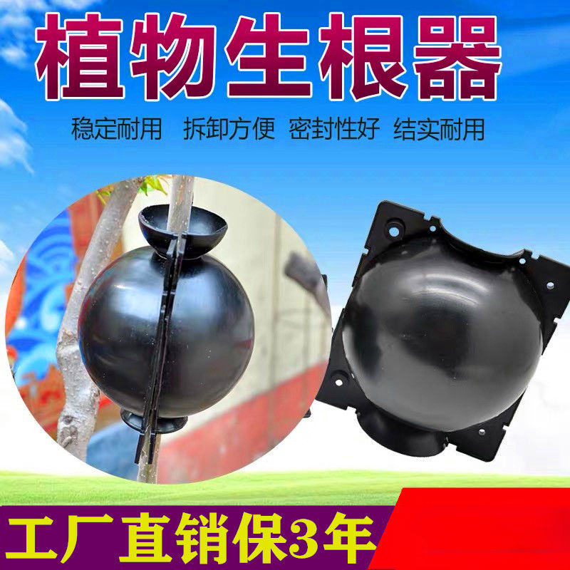 植物高压盒扦插生根杯植物无性繁殖控根器花盆盆景工具嫁接生根器