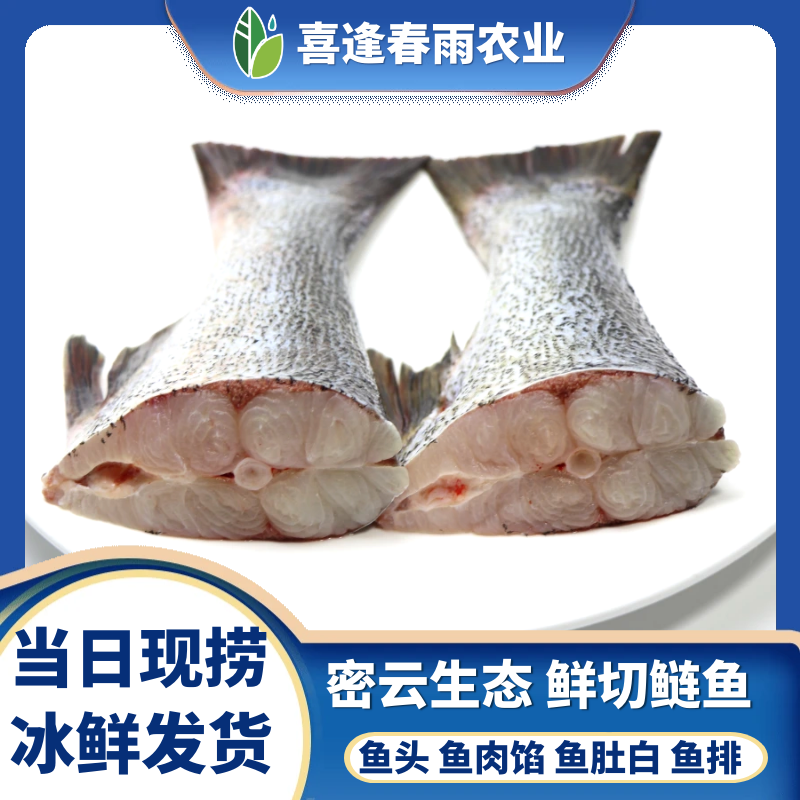 密云喜逢春雨水库鱼鲜切鱼尾1份1000克