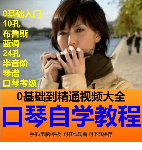 口琴自学视频培训教程10孔布鲁斯24孔半音阶教学零基础入门共38G