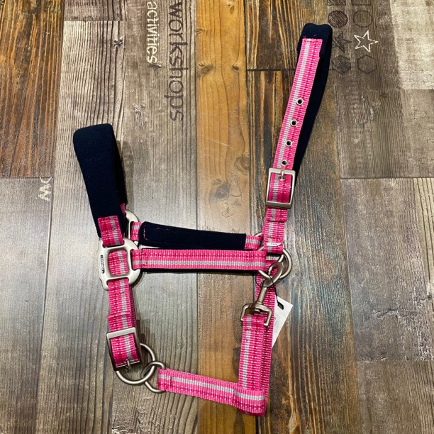 Pro-tack防磨马笼头马匹牵行牵引用品尼龙织带马术用品