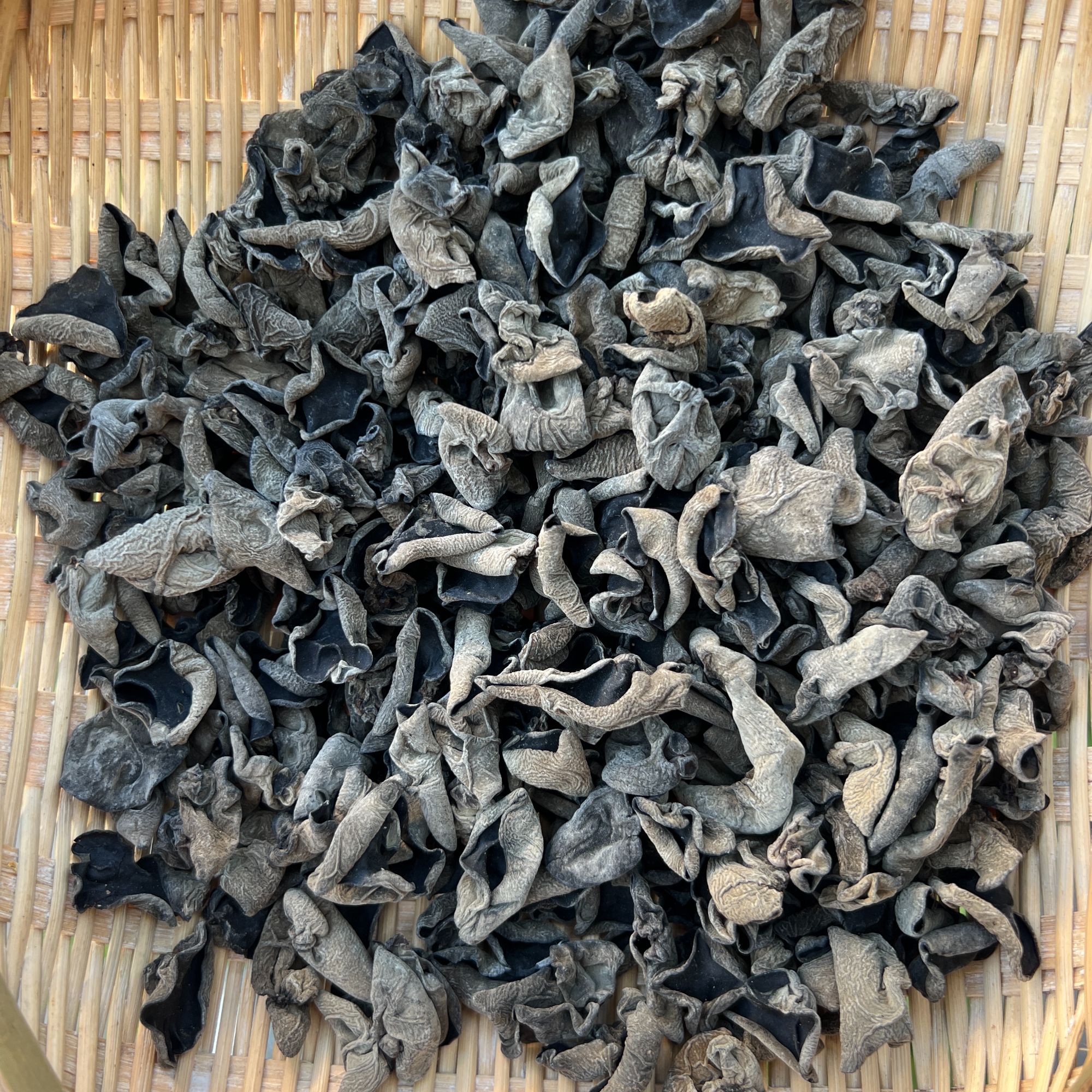 【张二妹专属】代收黑木耳