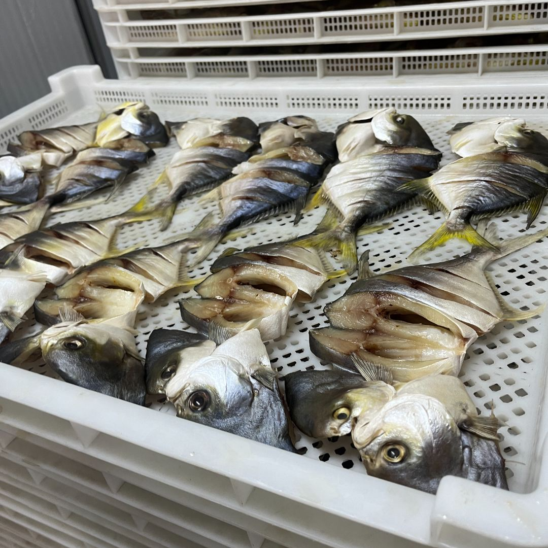 湛江海产淡味一夜埕金鲳鱼7成干 400-450g左右真空包装 包邮