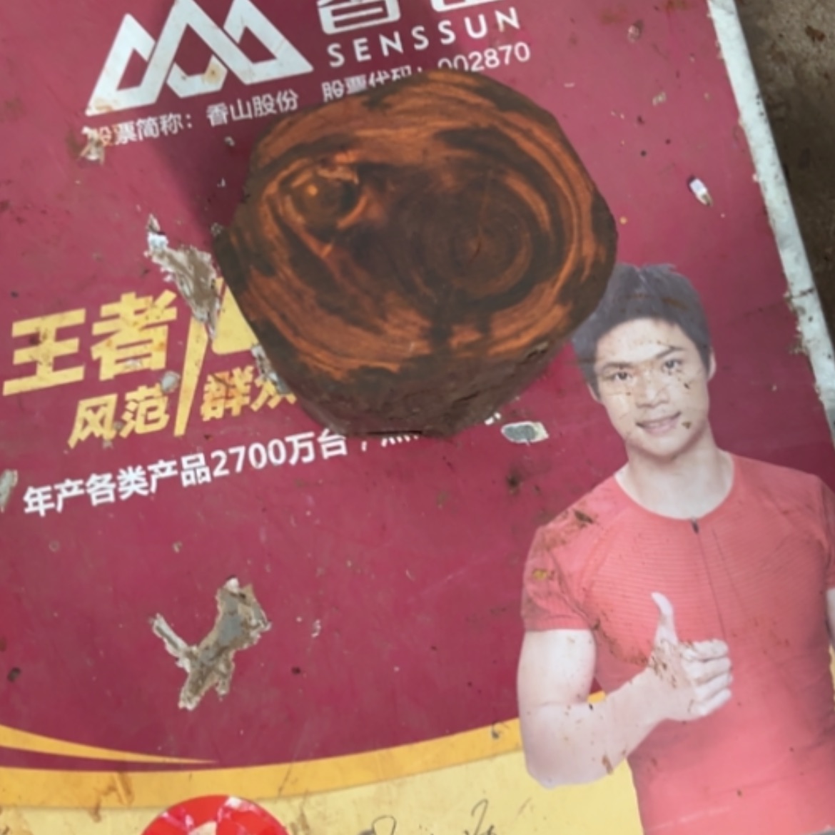 【闪购商品】檀木以**心印度小叶紫檀原木