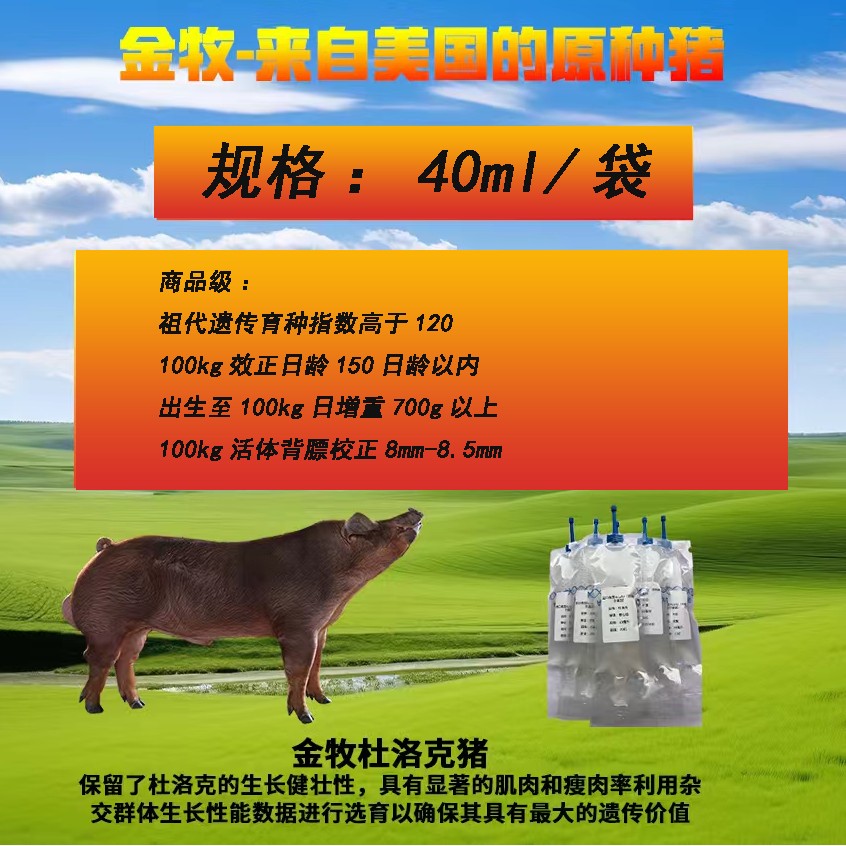 金牧蓝耳双阴.杜洛克.商品级猪精.进口美国Acuity(华特希尔基因)