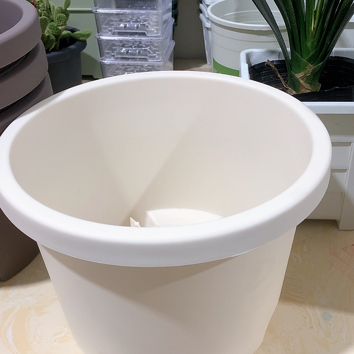树脂球根米色3个带托