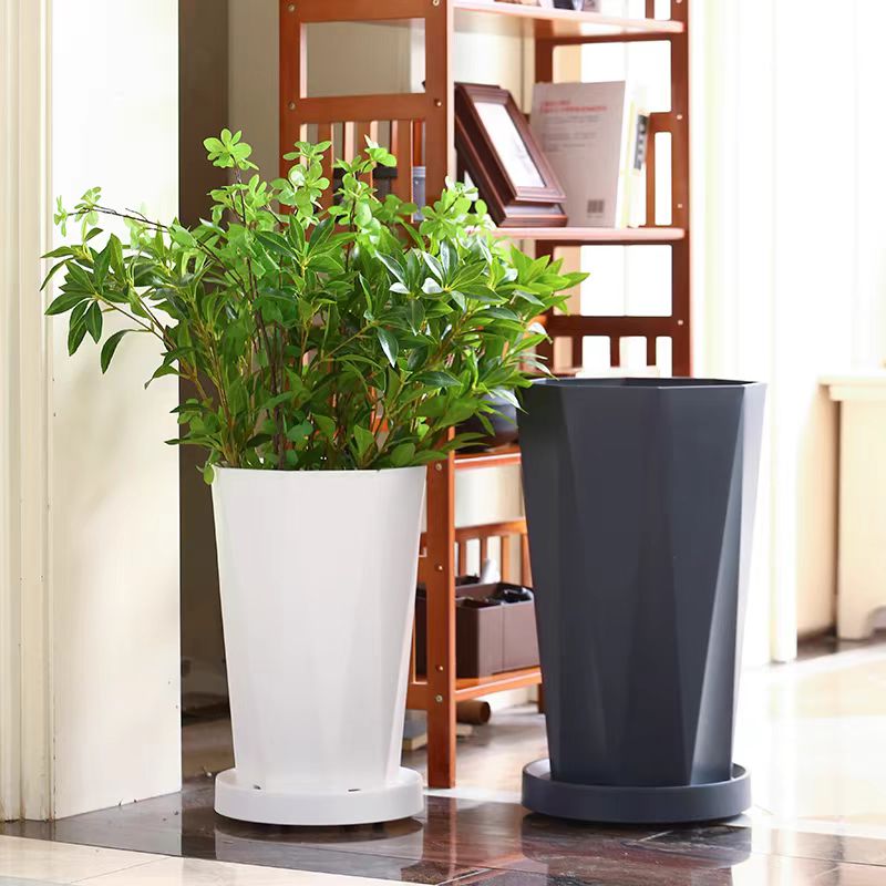 【高档款】加大加厚天堂鸟散尾葵龟背花盆客厅办公室大绿植首选