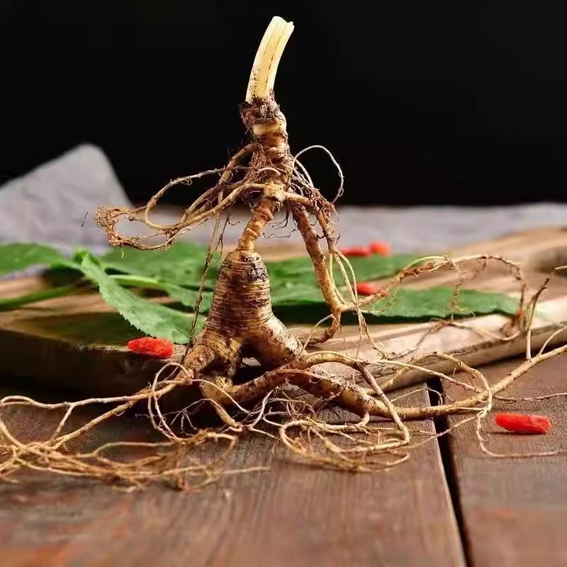 【老陈太太推荐】长白山原产地鲜林下参人参山参泡酒煲汤(高龄老参)