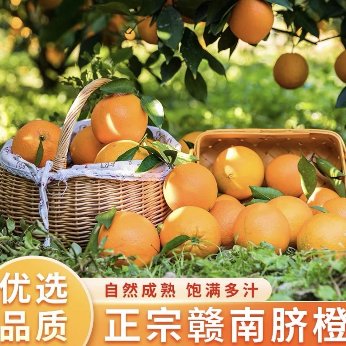 正宗江西赣南脐橙10斤装应季水果特大果产地现摘现发赣南脐橙橙子