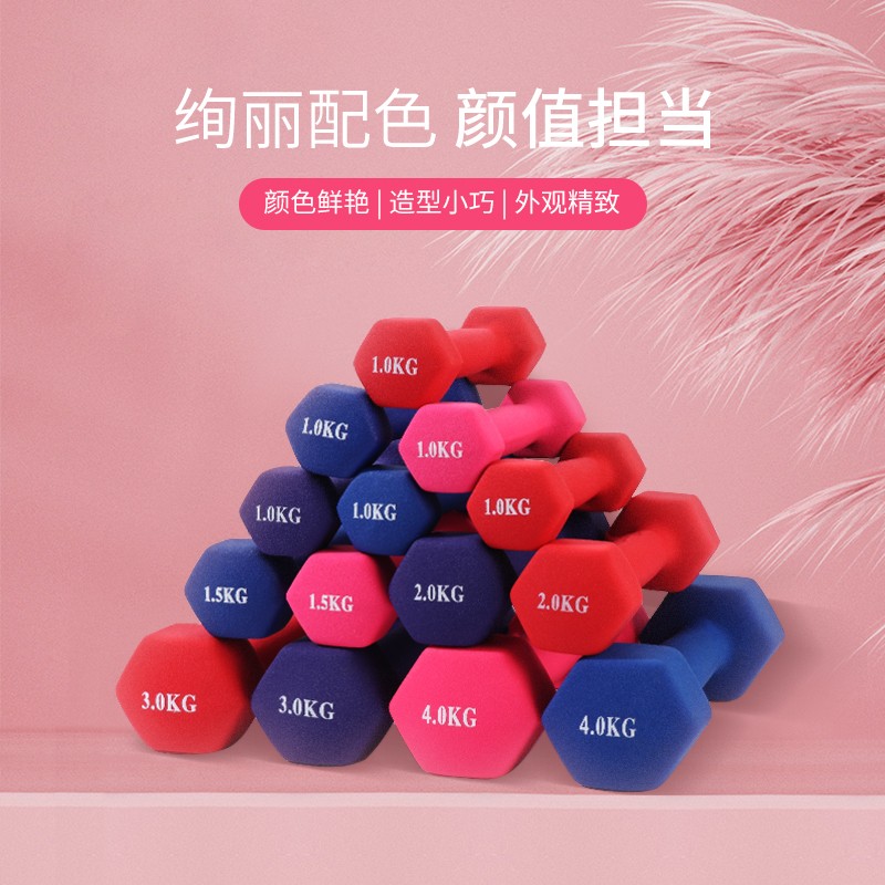 BZ女士哑铃居家健身器材家用实心铸铁男士学生儿童浸塑哑铃小巧