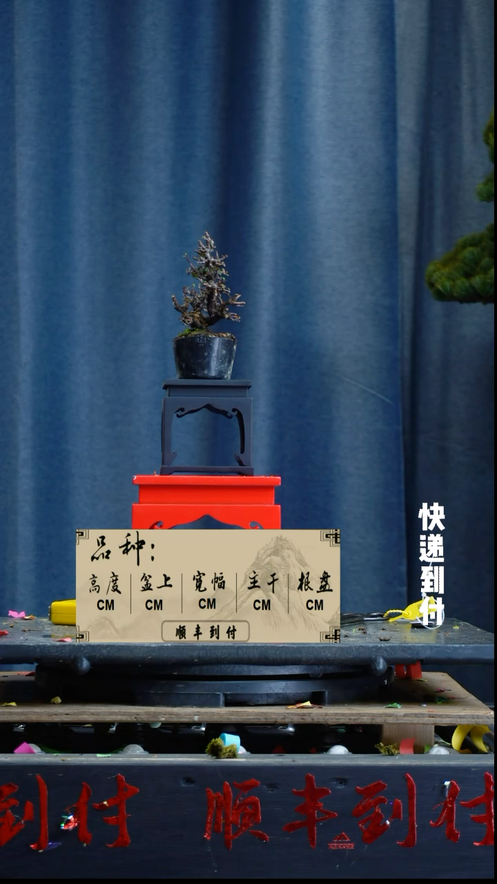 【闪购商品】1L235红紫檀bubaoyou