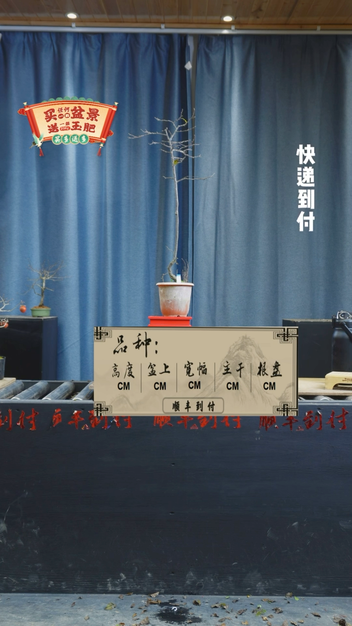【闪购商品】1136老鸦
