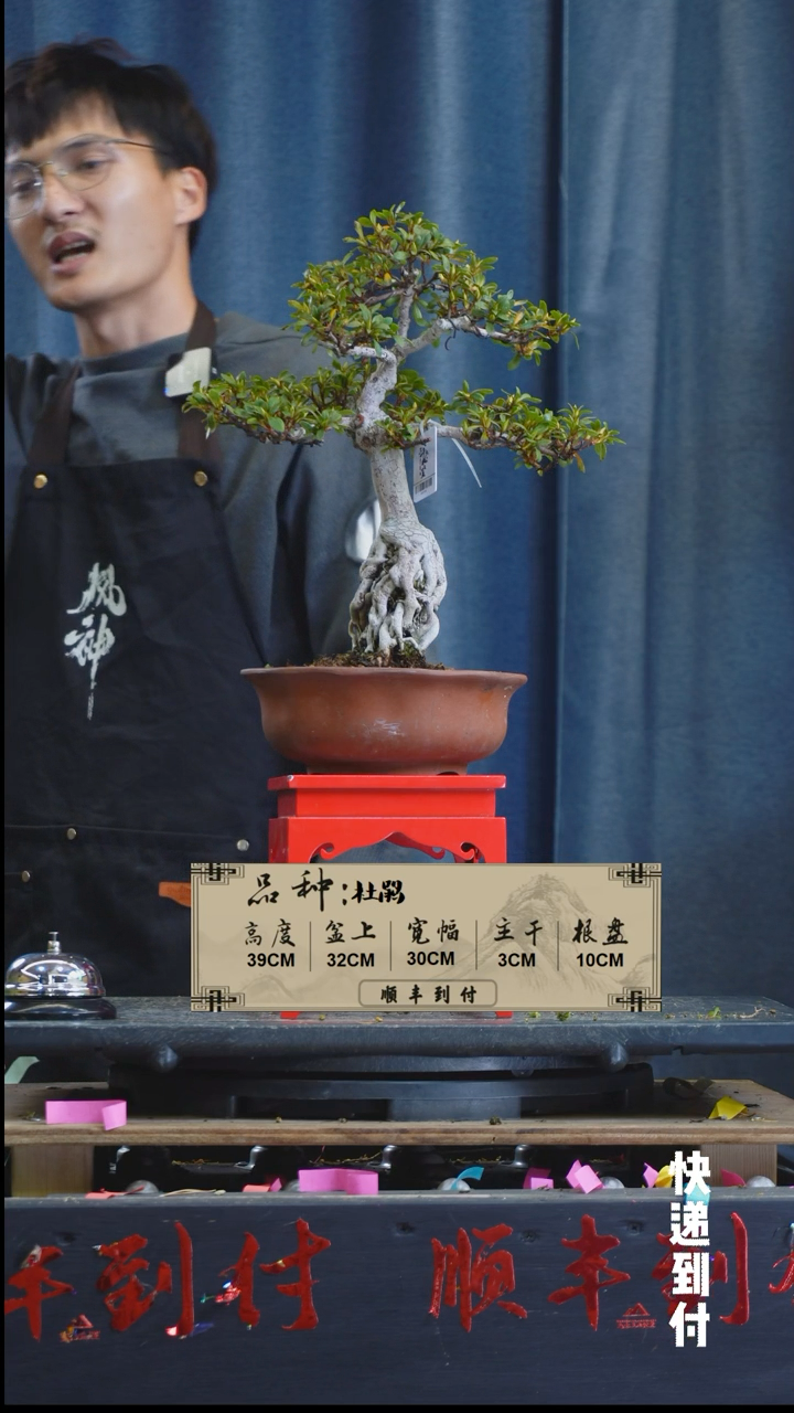 【闪购商品】1L035杜鹃bubaoyou