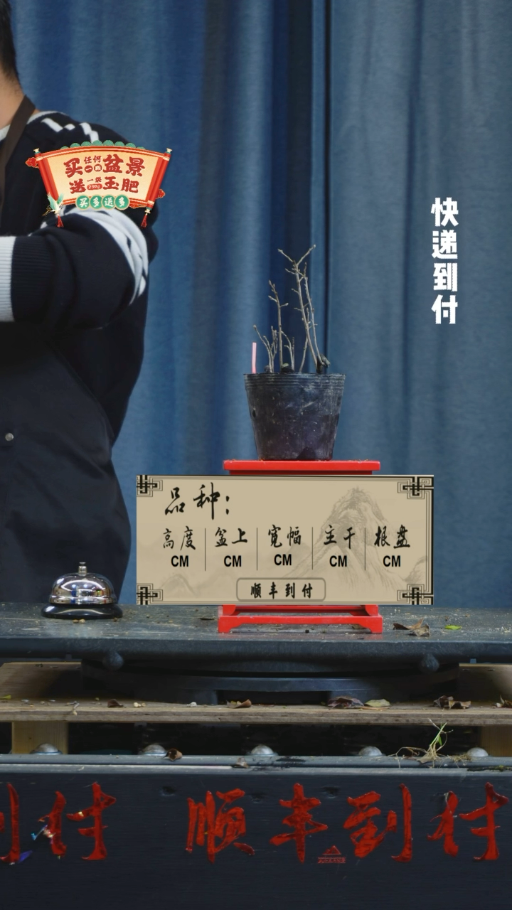 【闪购商品】1120老鸦