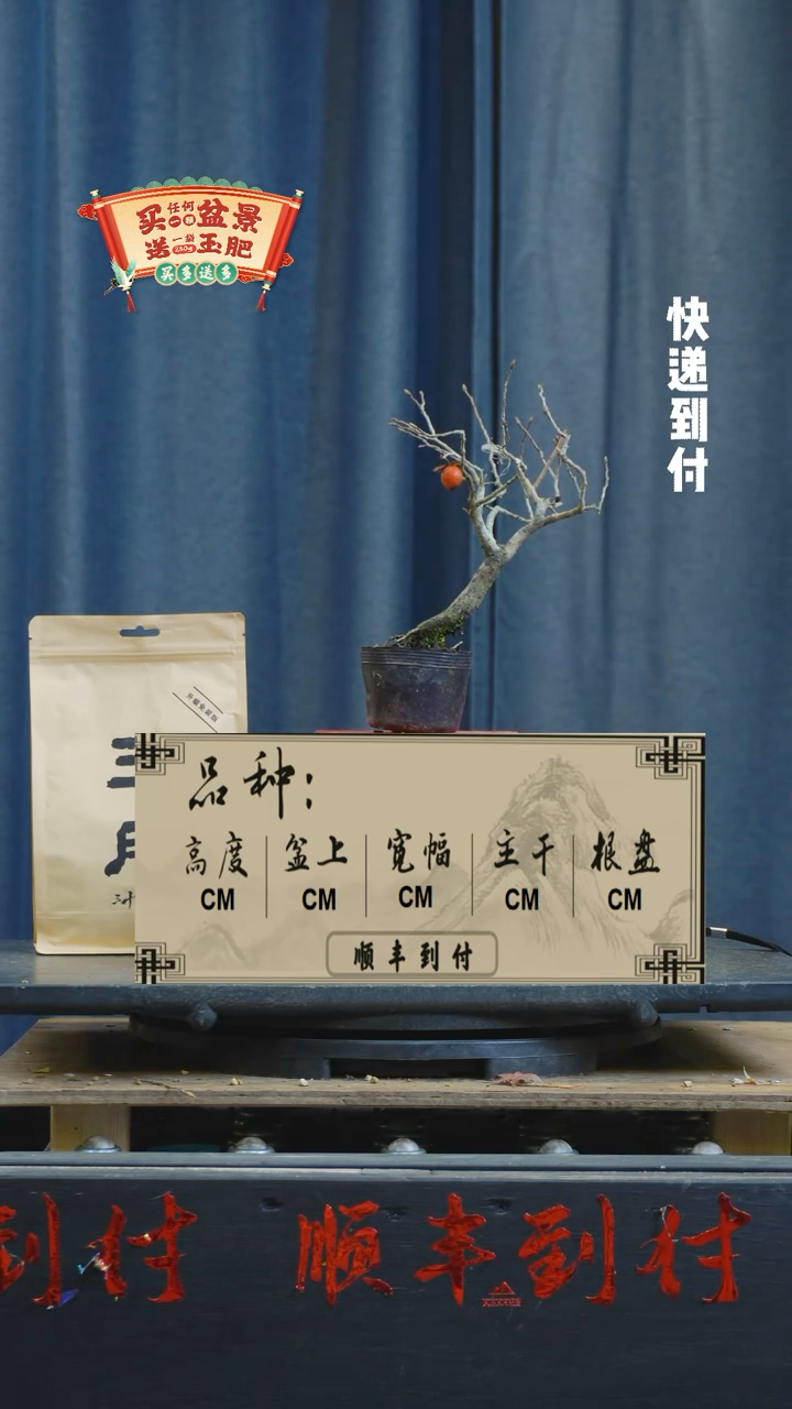 【闪购商品】1006老鸦