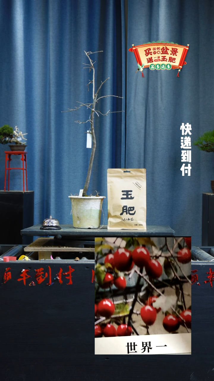 【闪购商品】1374老鸦