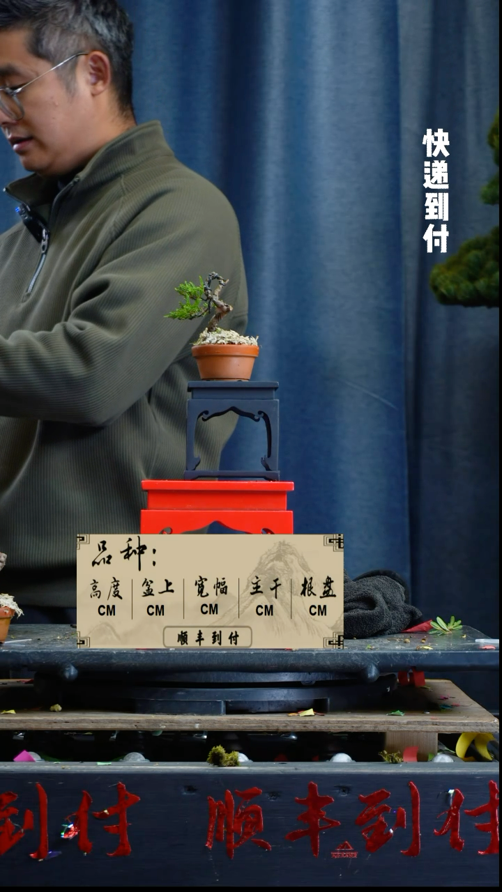 【闪购商品】1L244真柏buaboyou