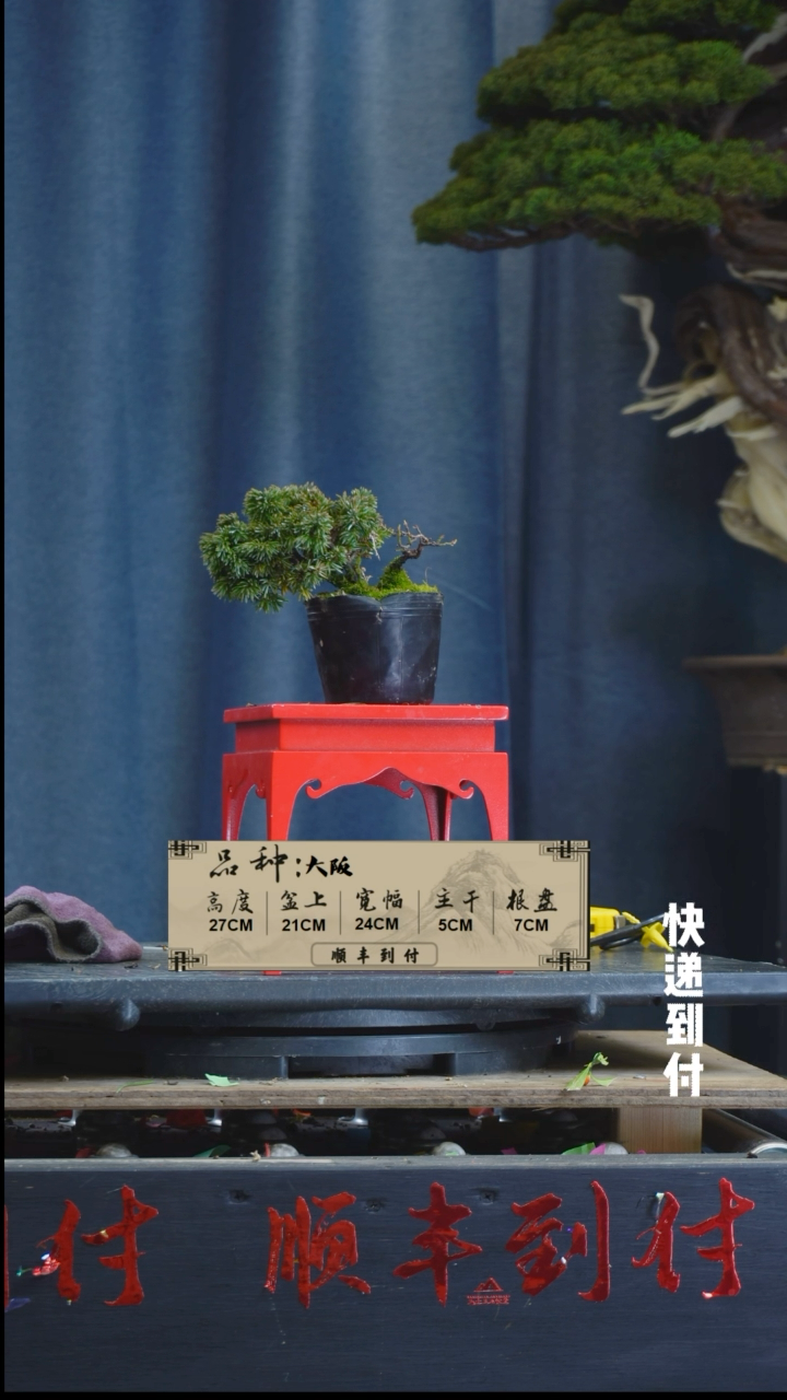【闪购商品】1L190杜松bubaoyou