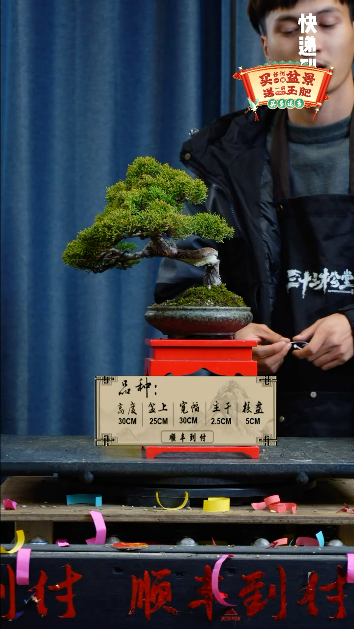 【闪购商品】1458真柏