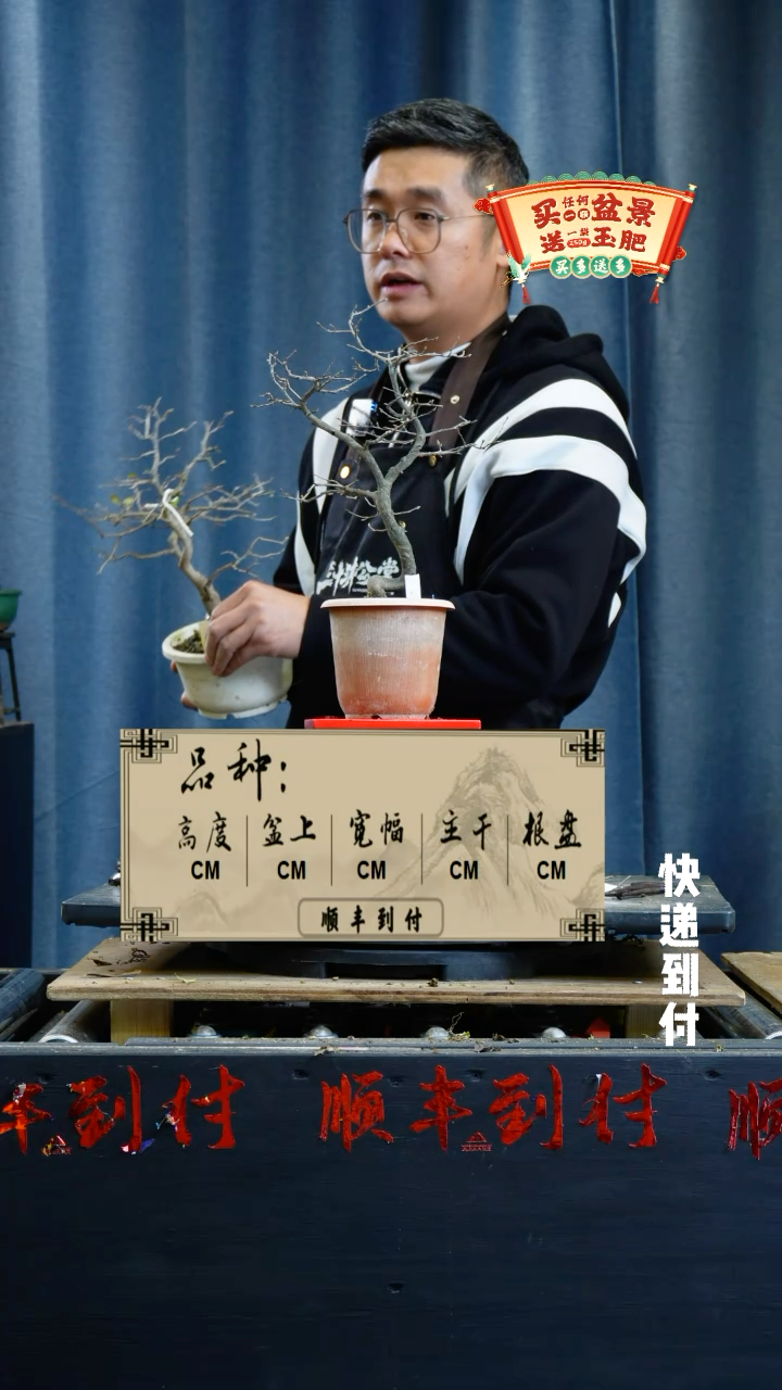 【闪购商品】1720老鸦